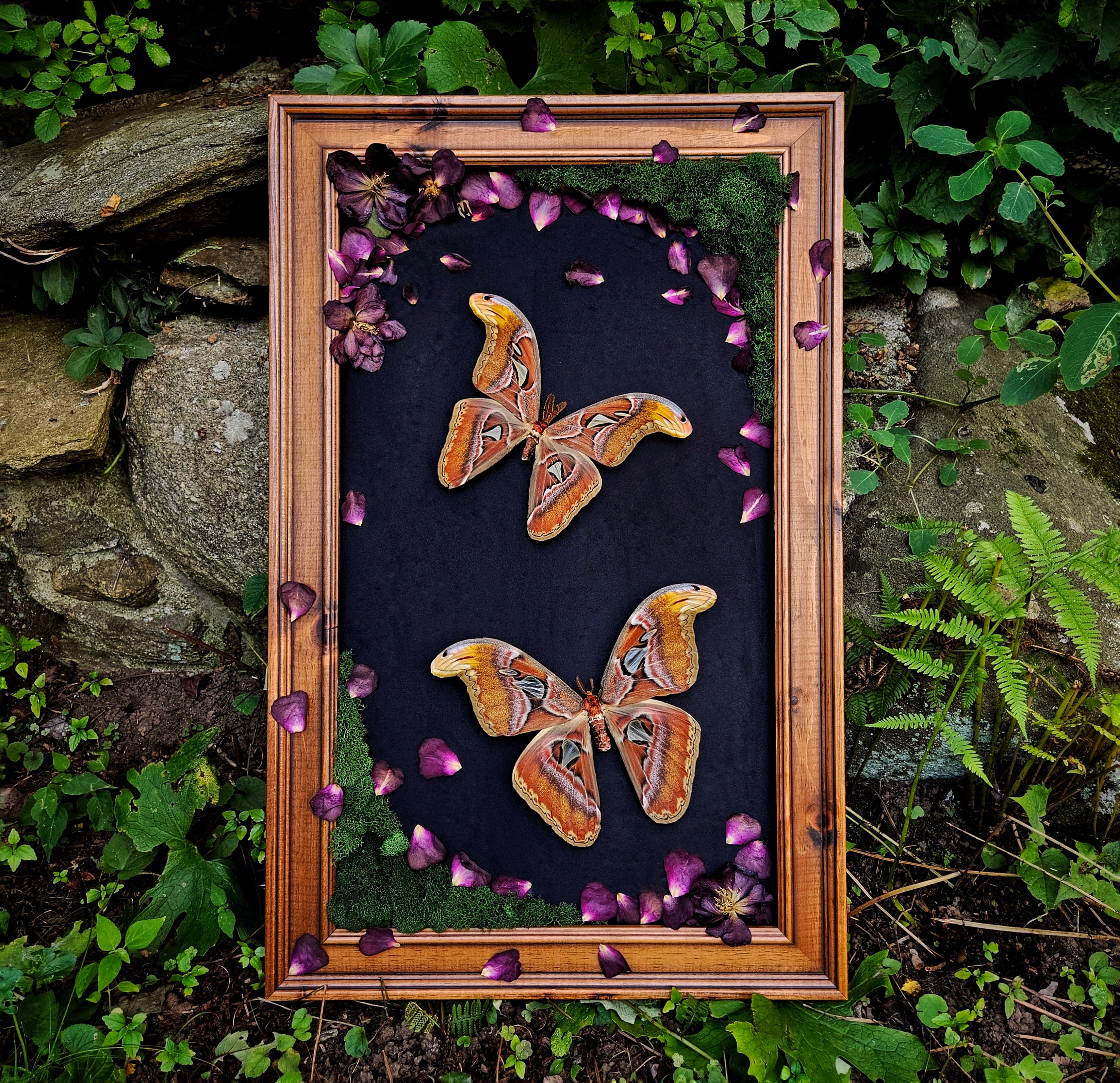 Frames & Shadowboxes