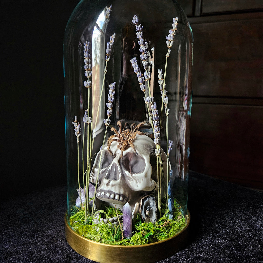 Dragonfly Dance Decor Dome
