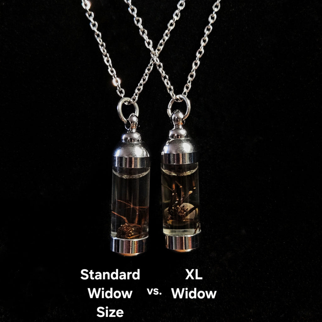 Black Widow spider wet specimen necklaces, female and male, black and silver necklaces