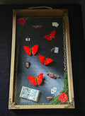 The Red Queen - Alice Inspired Butterfly Frame