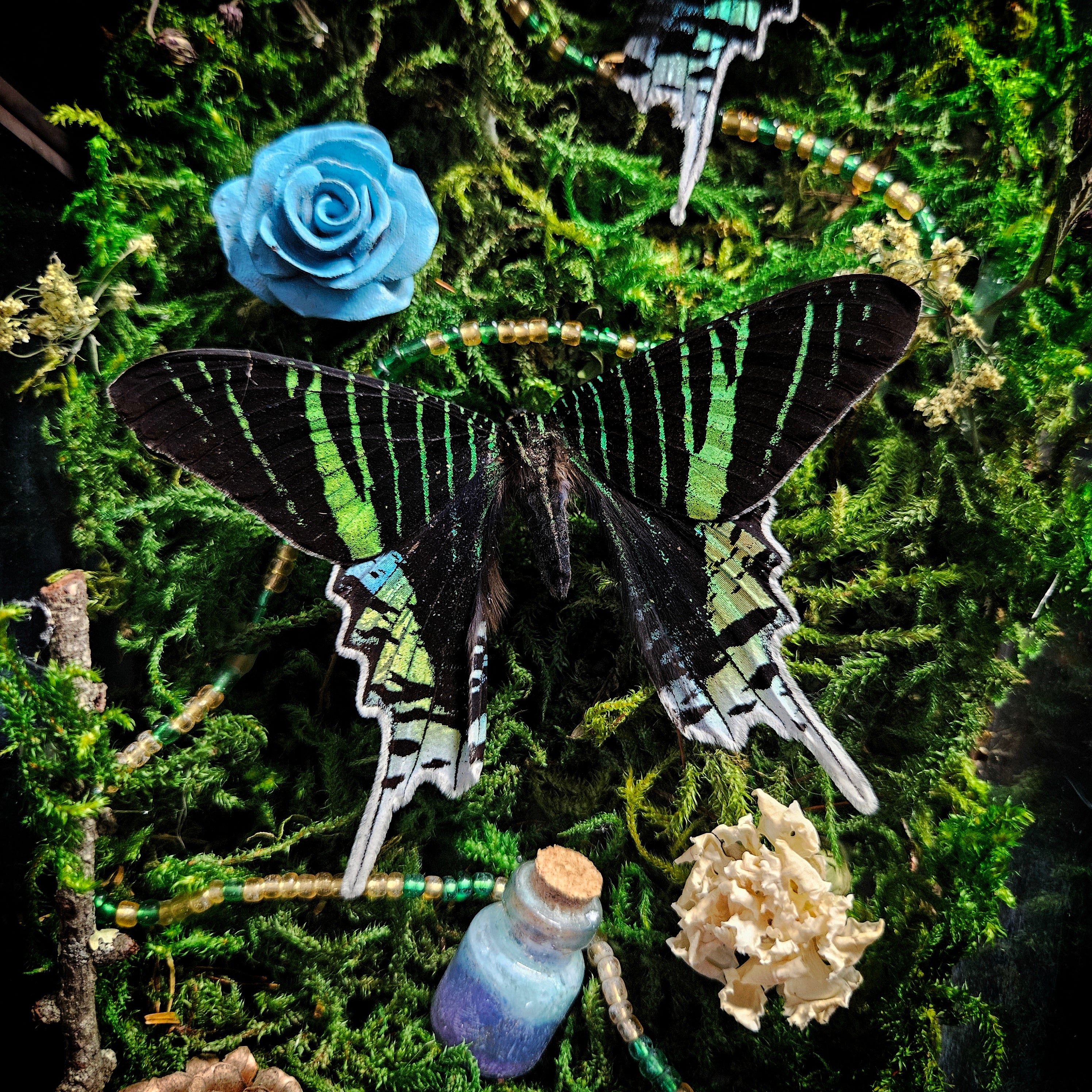 Gothic Trio Coffin