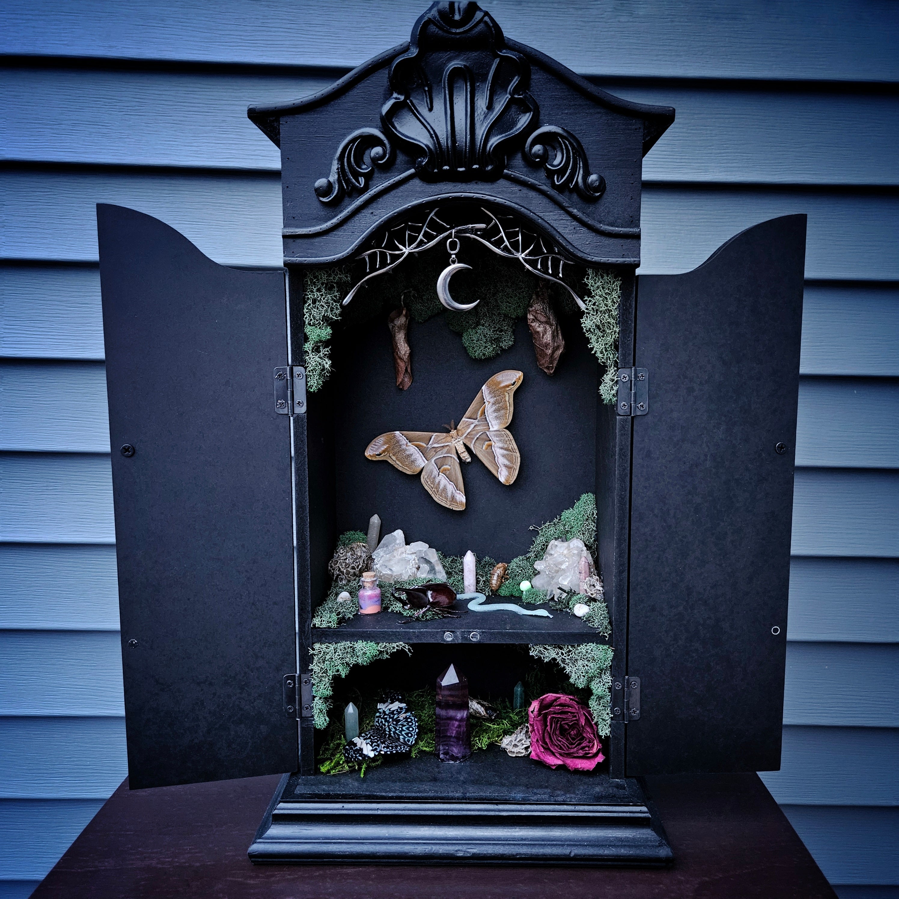 Moonlit Moth Reliquary Cabinet