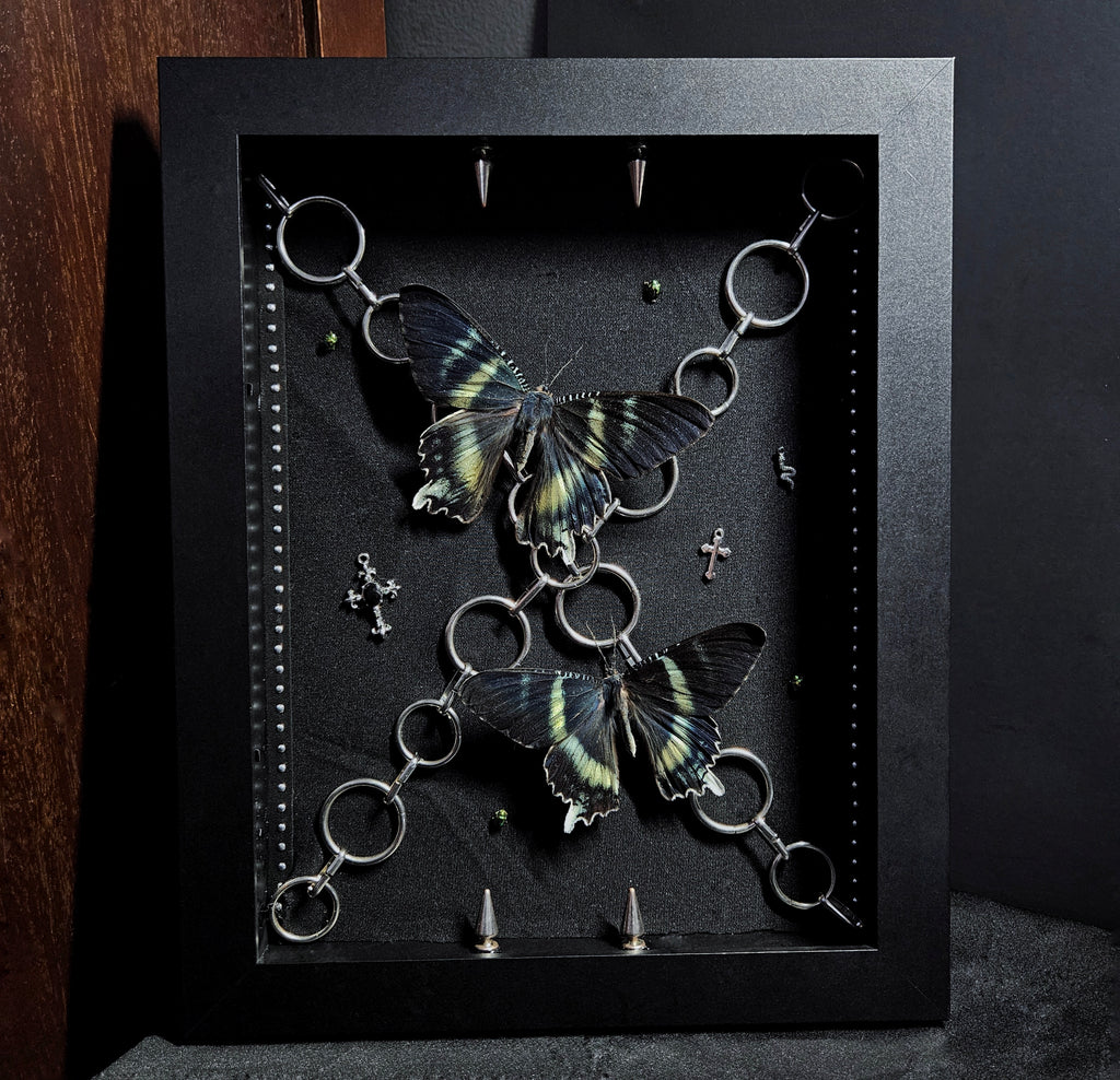 Gothic Chain Zodiac Shadowbox