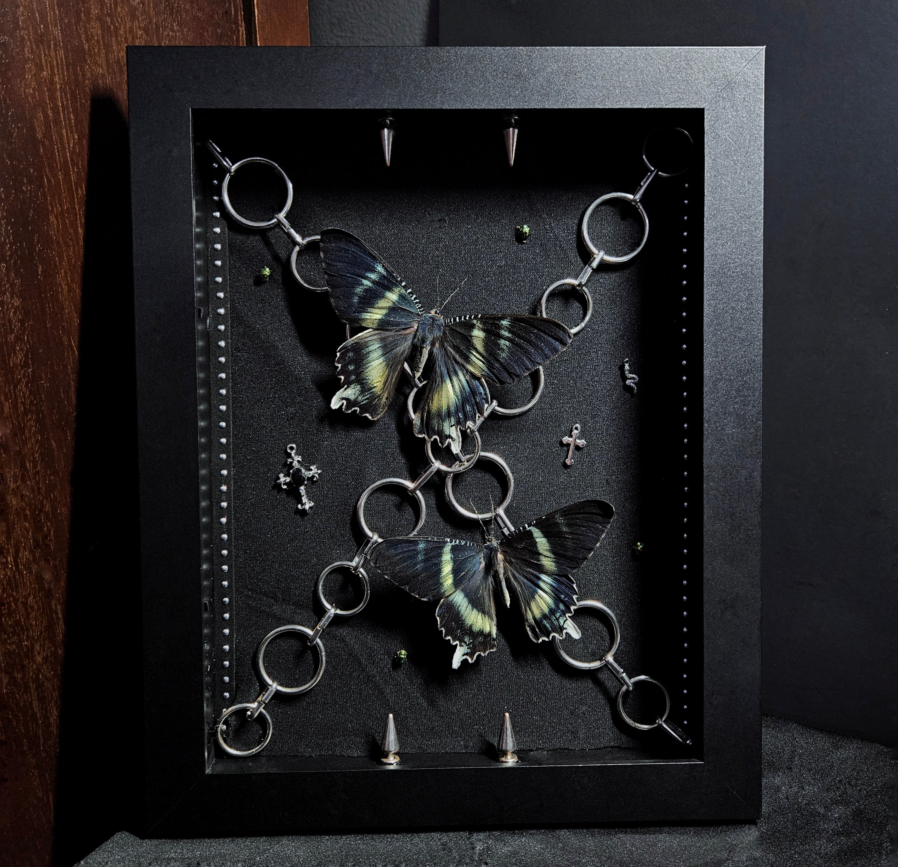 Gothic Chain Zodiac Shadowbox