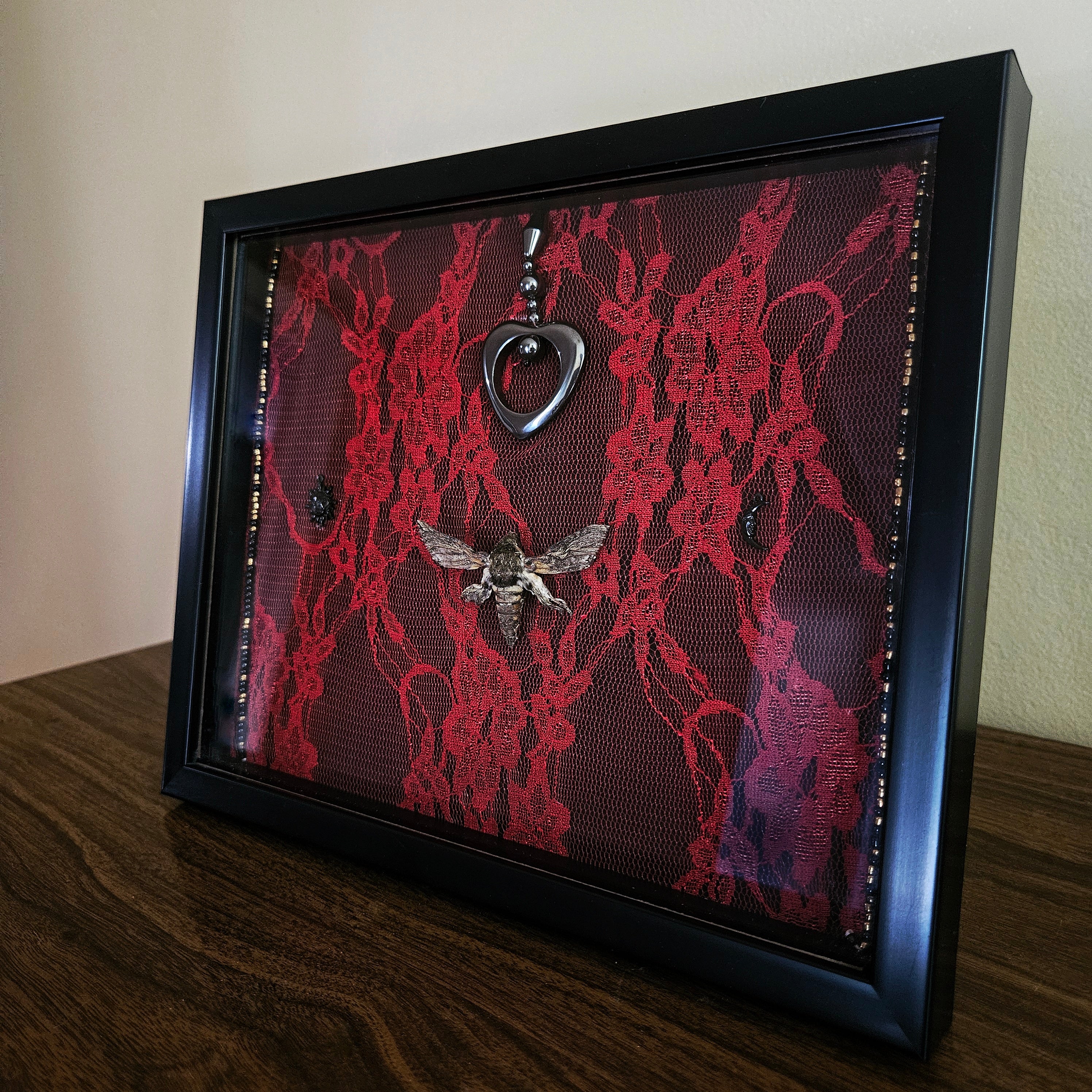 Crimson Lace Sphinx Moth Frame