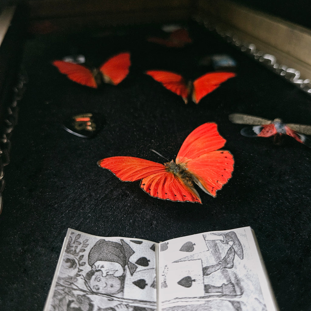 The Red Queen - Alice Inspired Butterfly Frame