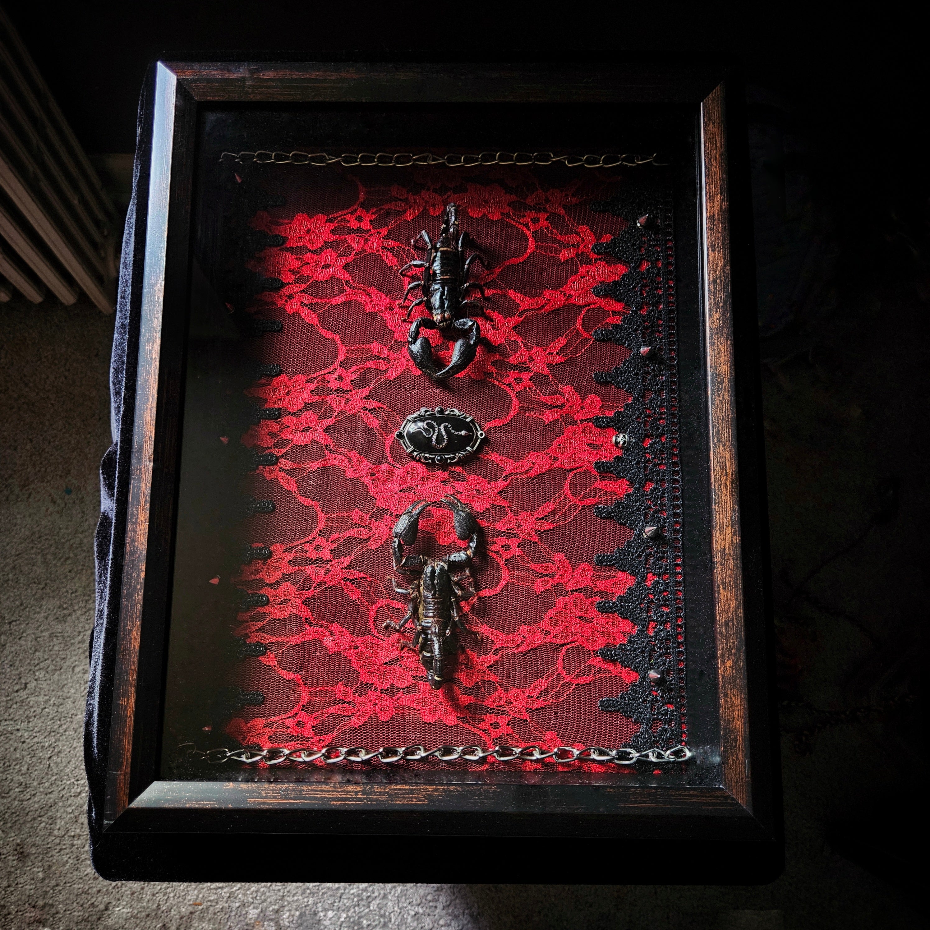 The Last Warning - Scorpion Dual Shadowbox Frame