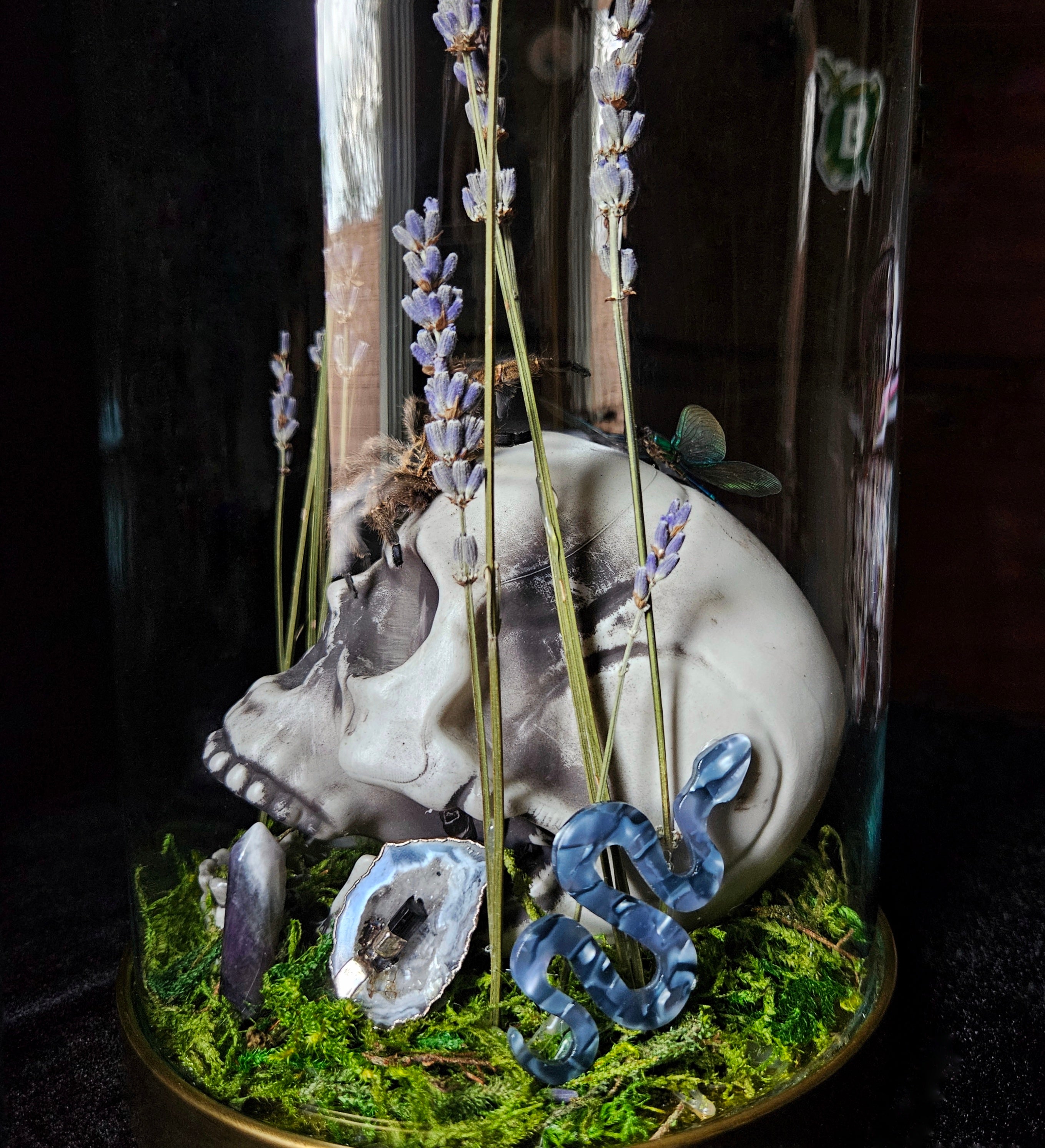 Dragonfly Dance Decor Dome