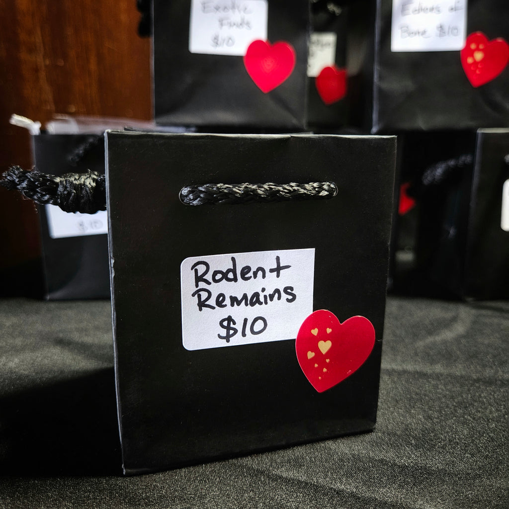Mini Mystery Bags