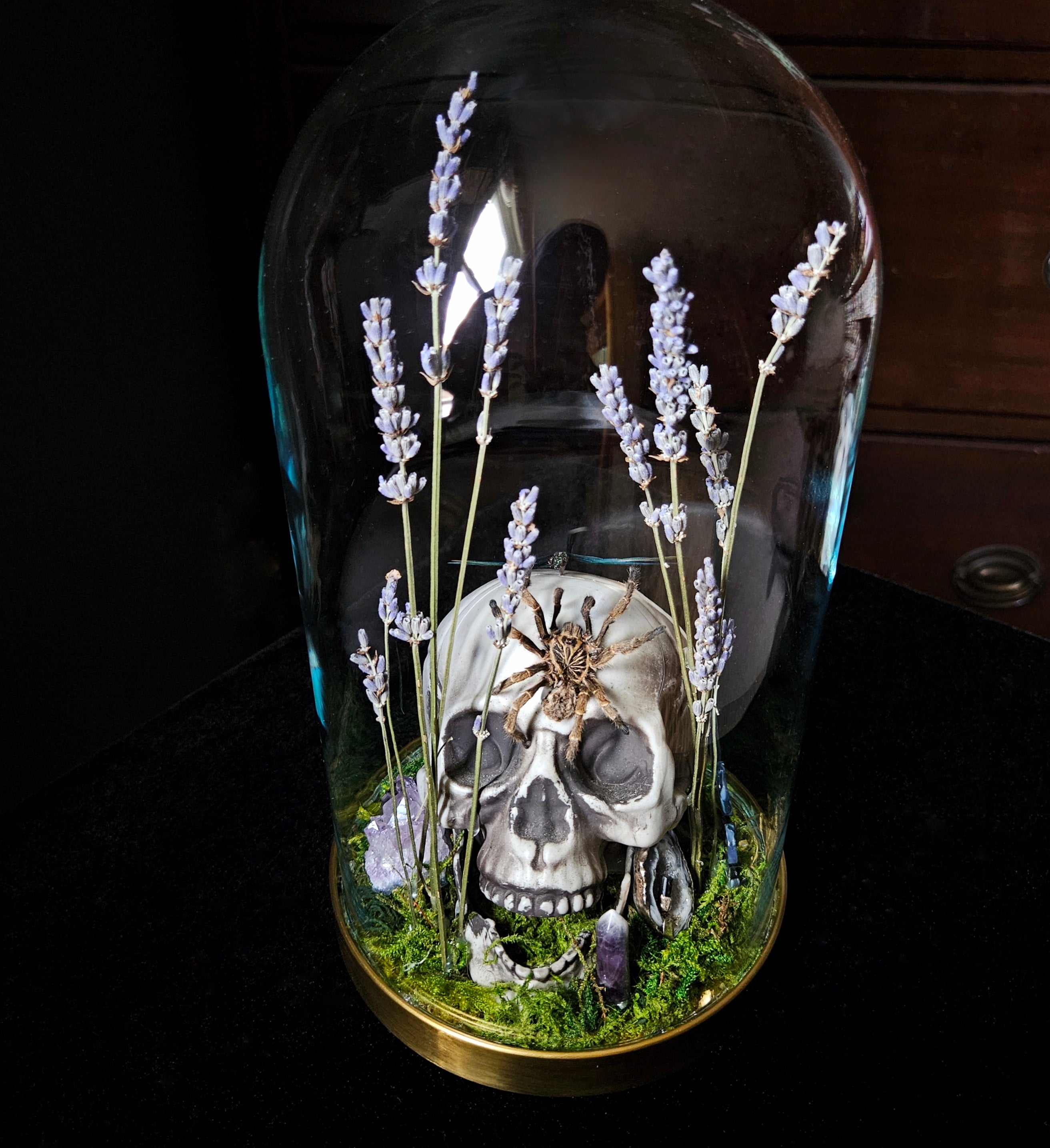 Dragonfly Dance Decor Dome