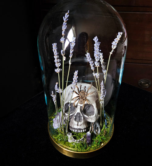 Dragonfly Dance Decor Dome