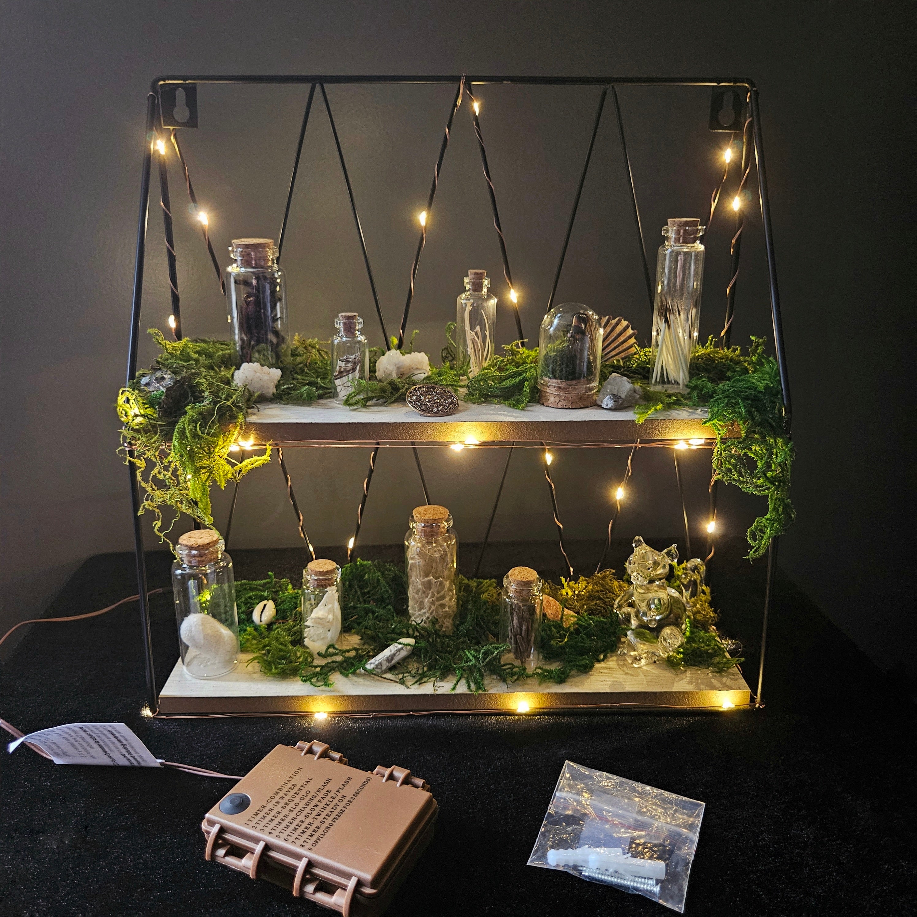 Cottagecore Curiosity Shelf Battery Powered Nightlight - Single Indivisible Item