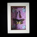 Stay Gentle Macabre Butterfly Frame