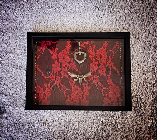 Crimson Lace Sphinx Moth Frame