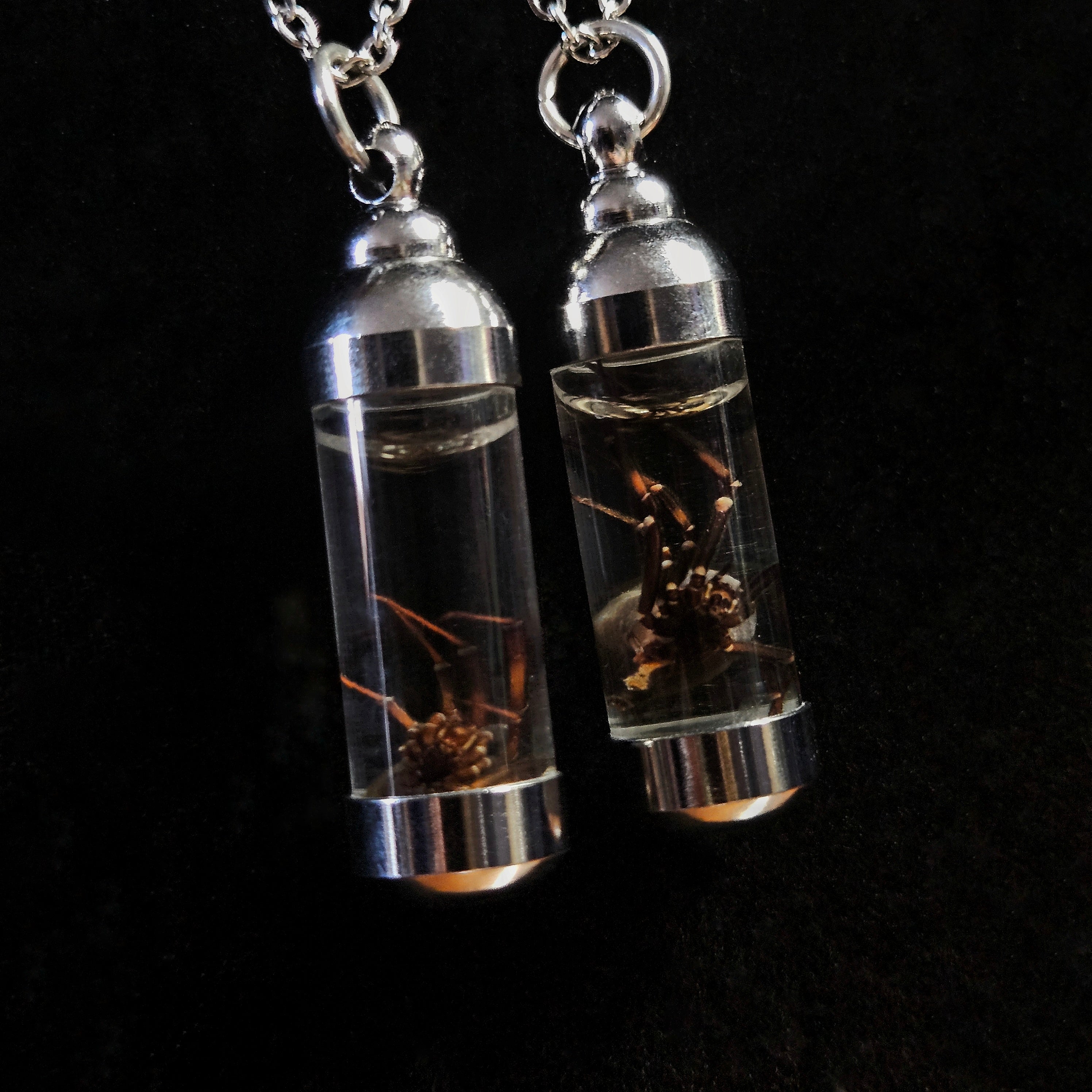 Black Widow spider wet specimen necklaces, female and male, black and silver necklaces