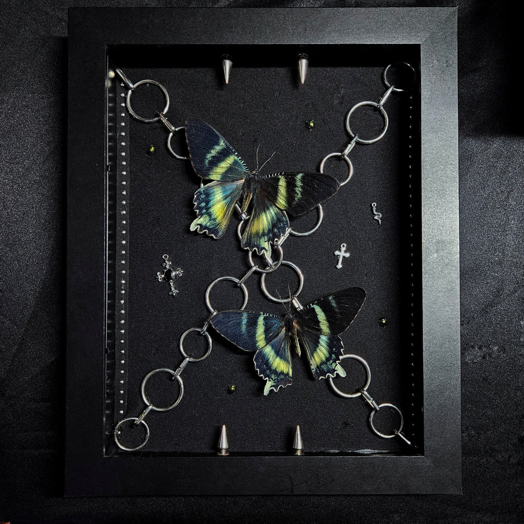 Gothic Chain Zodiac Shadowbox