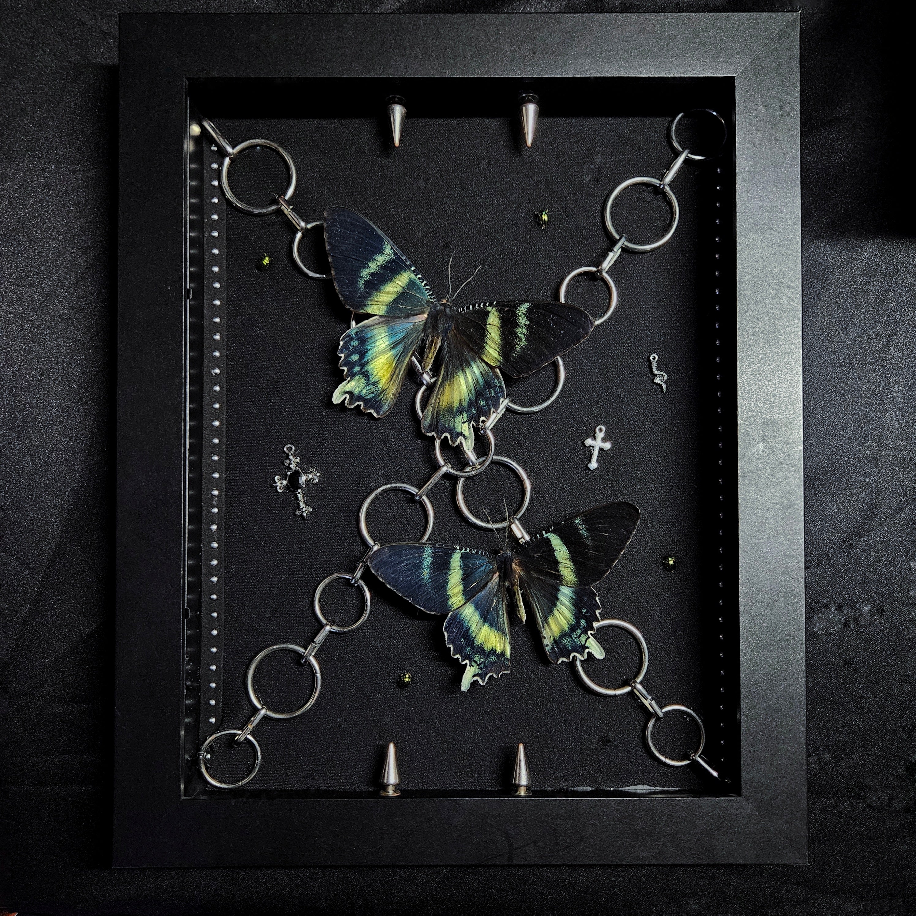 Gothic Chain Zodiac Shadowbox