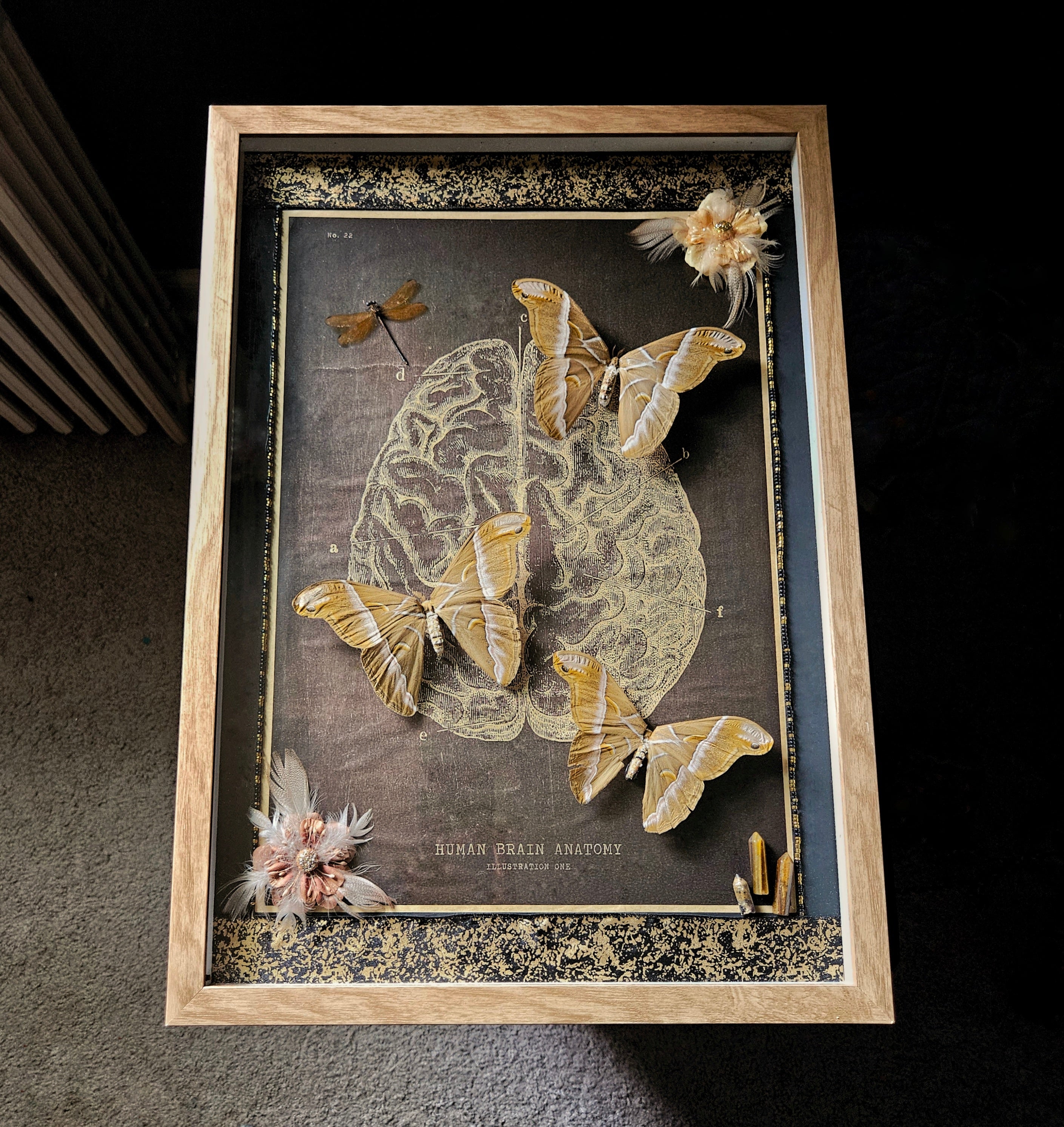 Thought of Consciousness Shadowbox Frame